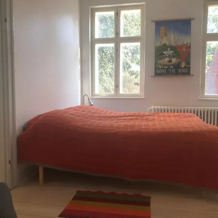 Lejlighed I Hjertet Af * Ribe